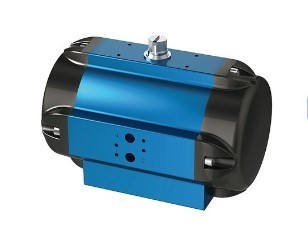 Amg Pesch 245090 Pneumatic Actuator