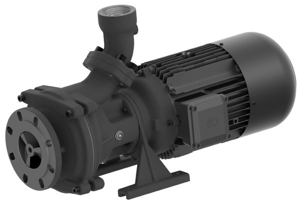 Brinkmann SBF1550S Horizontal End-Suction Pump